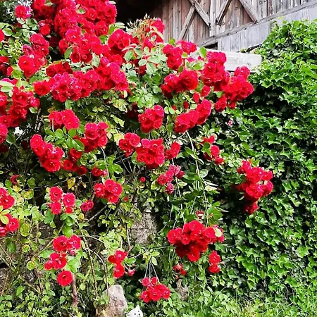 Apartamento Haus Neurauter